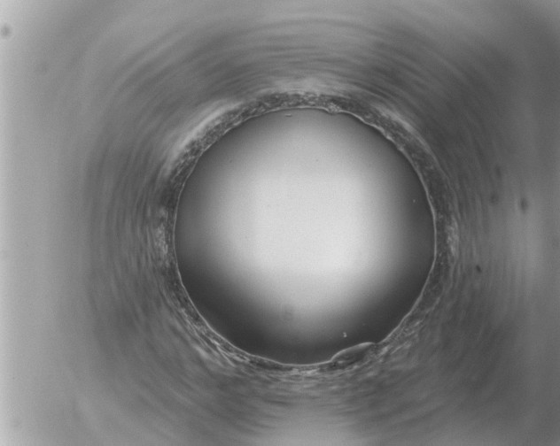 X0000054440968200508270008