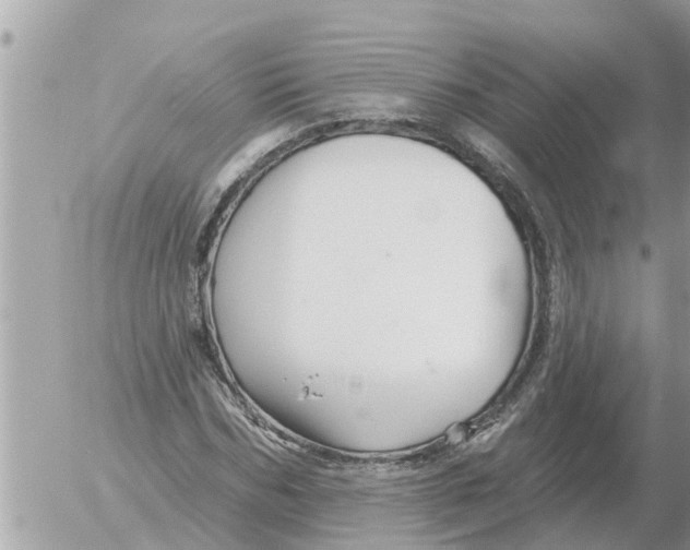 X0000054440970200508270008