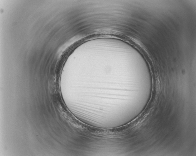 X0000054440971200508270008