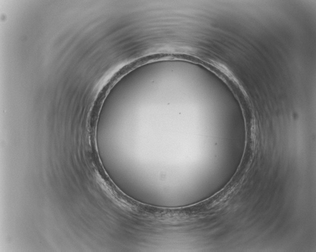 X0000054440972200508270008