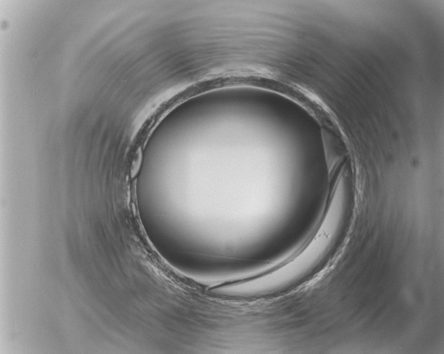 X0000054440973200508270008