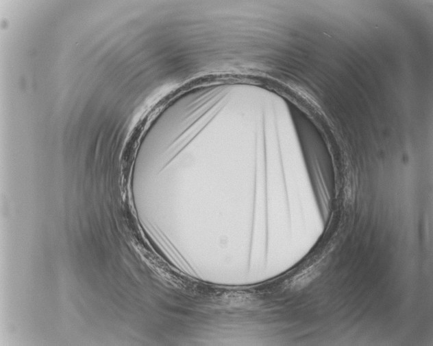 X0000054440974200508270008