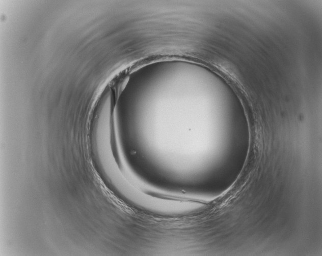 X0000054440976200508270008