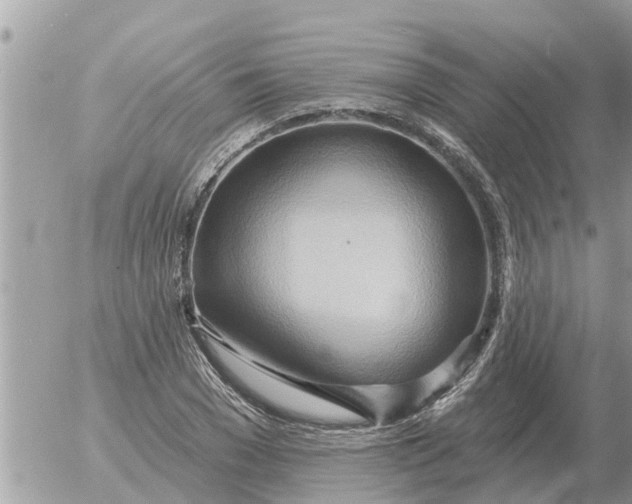 X0000054440977200508270008