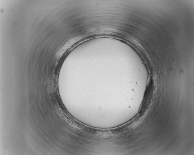 X0000054440978200508270008