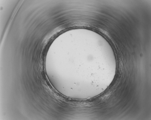 X0000054440979200508270008