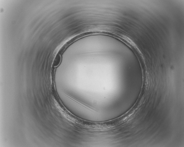 X0000054440980200508270008