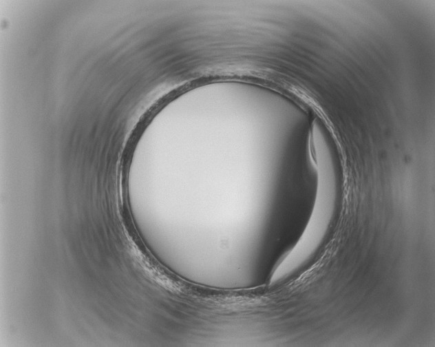 X0000054440984200508270008