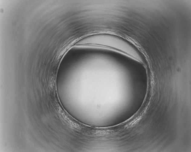 X0000054440985200508270008