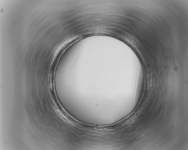 X0000054440987200508270008