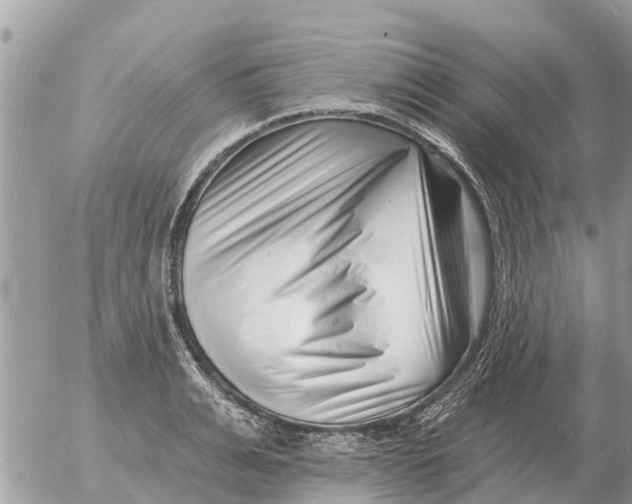 X0000054440991200508270008