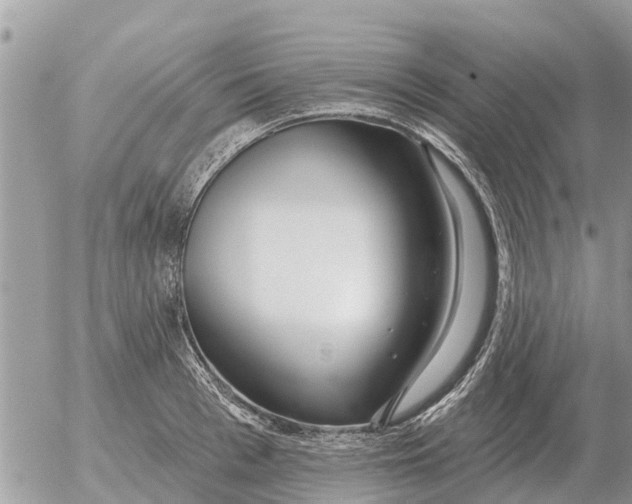 X0000054440993200508270008