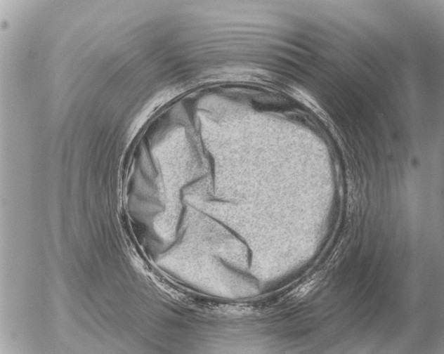 X0000054440994200508270008