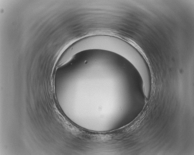 X0000054440996200508270008