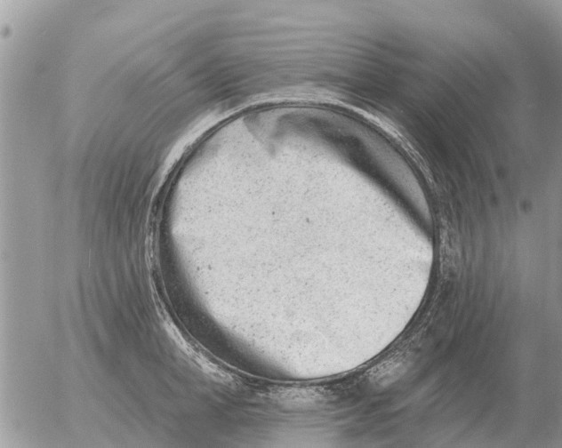 X0000054440998200508270008