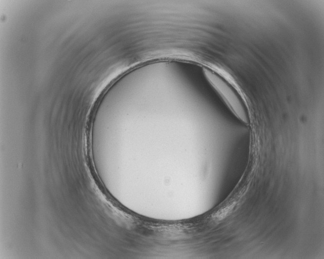 X0000054440999200508270008