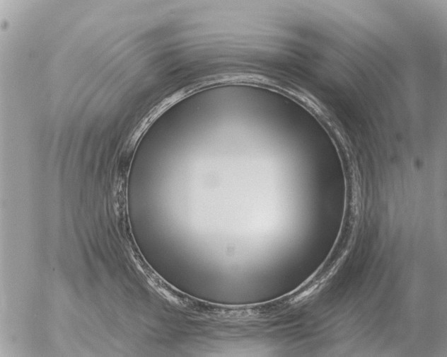 X0000054441001200508270008