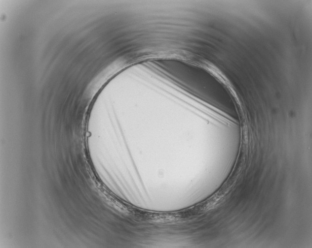 X0000054441002200508270008