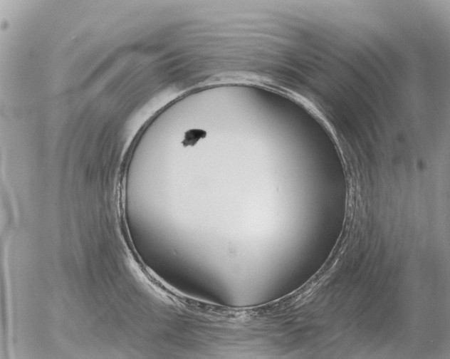 X0000054441003200508270008