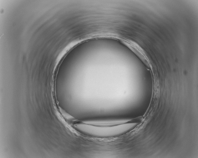 X0000054441005200508270008