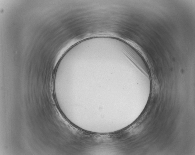 X0000054441006200508270008