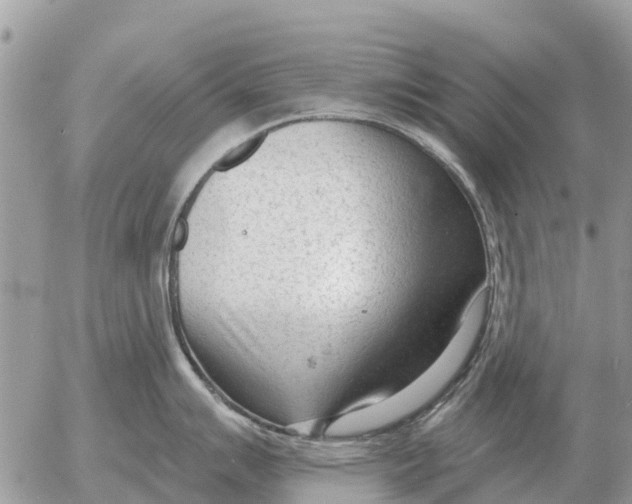 X0000054441007200508270008