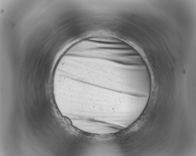 X0000054441008200508270008