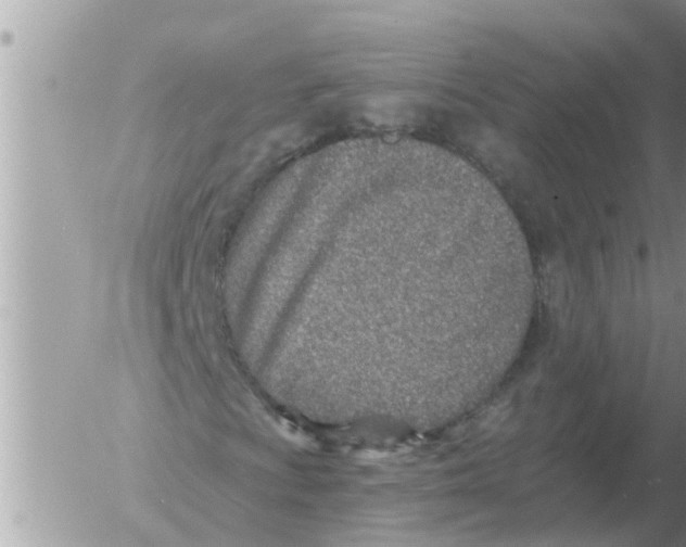 X0000054441009200508270007