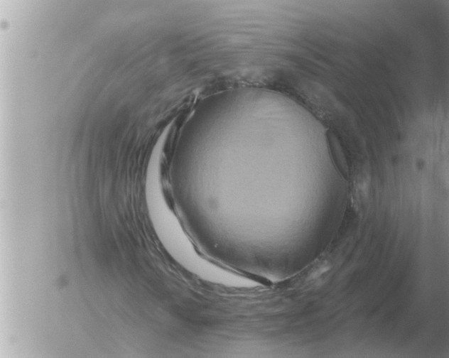 X0000054441010200508270007