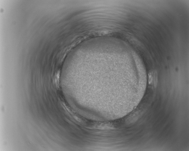 X0000054441011200508270007