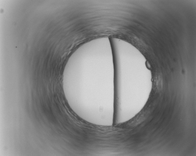 X0000054441012200508270007