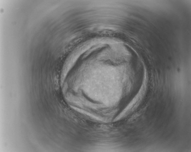 X0000054441013200508270007