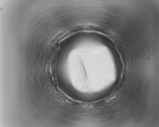 X0000054441014200508270007