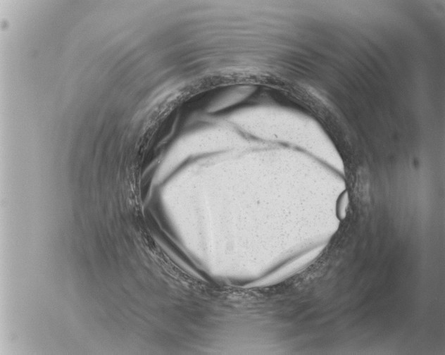 X0000054441015200508270007