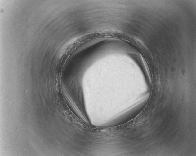 X0000054441016200508270007