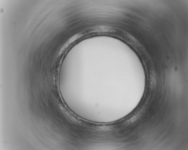 X0000054441017200508270007