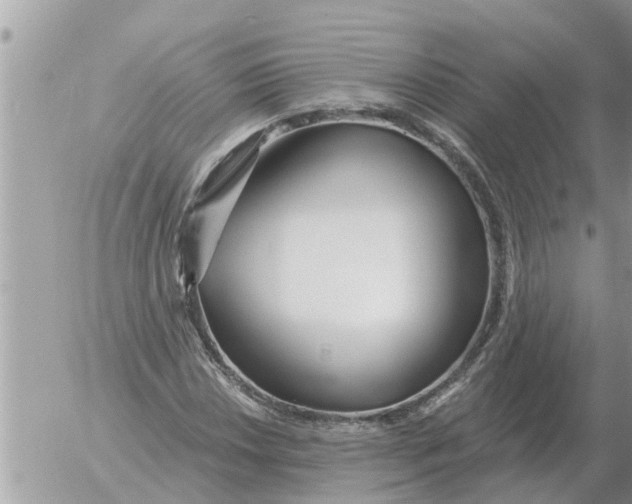 X0000054441018200508270007