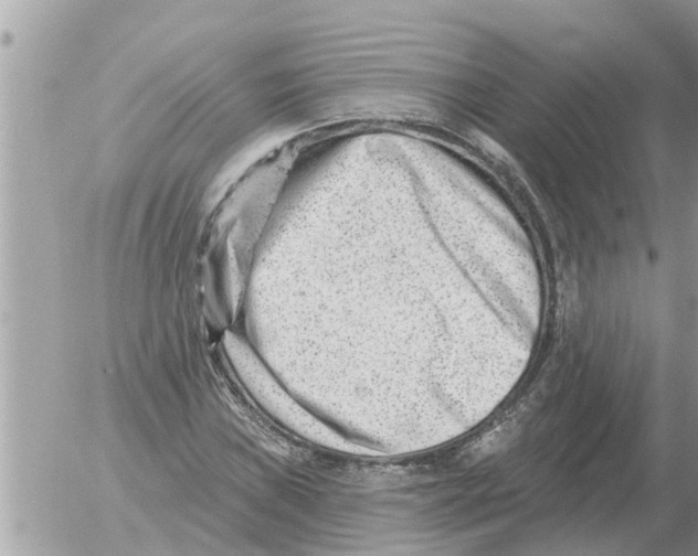 X0000054441019200508270007