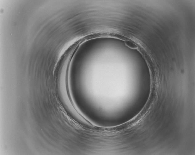 X0000054441022200508270007