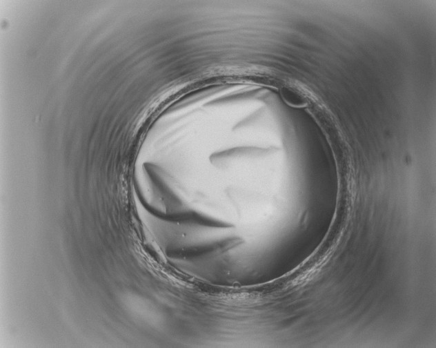 X0000054441025200508270007