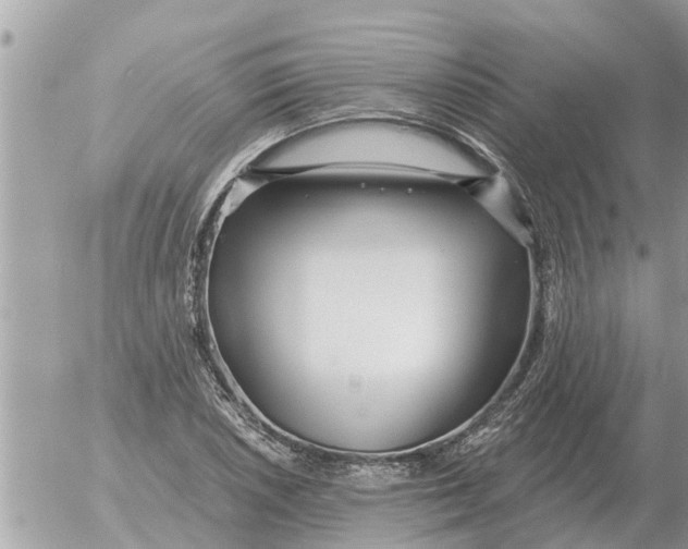 X0000054441026200508270007