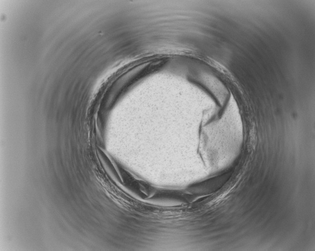 X0000054441027200508270007