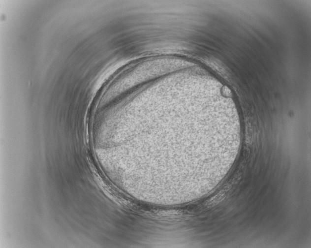 X0000054441031200508270007