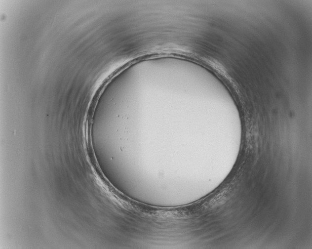 X0000054441032200508270007