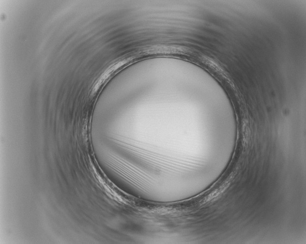 X0000054441033200508270007