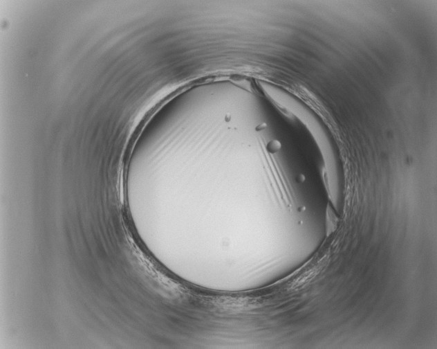 X0000054441036200508270007