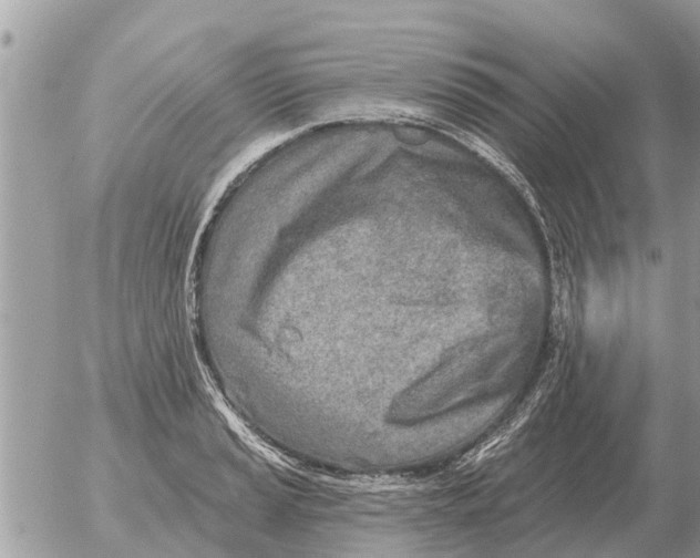 X0000054441037200508270007