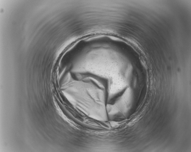 X0000054441038200508270007