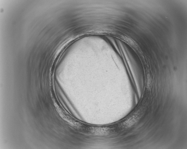 X0000054441039200508270007