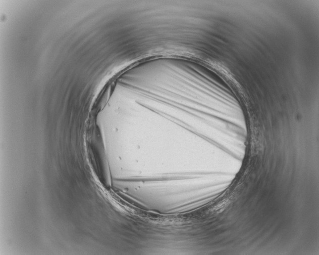 X0000054441040200508270007